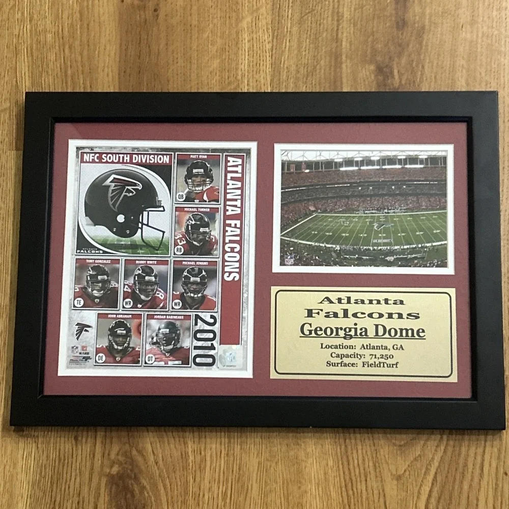 Vtg Atlanta Falcons  NFC 2010 Georgia Dome Field Turf Framed Wall Hanging Plaque